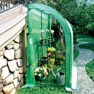 Conjunto de invernadero de policarbonato para jardín, conjunto de semillas de plástico, fácil de montar, mini, para caminar - Product Image 3
