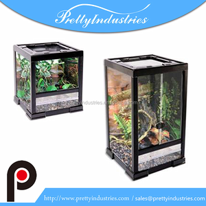 Cam sürüngen teraryum kertenkele teraryum sürüngen kuluçka sürüngen yumurta kuluçka - Product Image 4