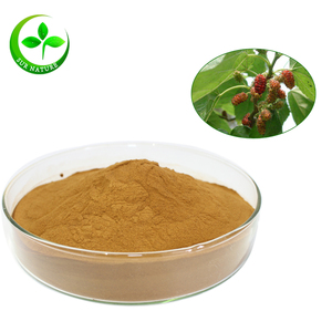<span class=keywords><strong>100%</strong></span> bubuk murbei putih kering alami - Product Image 1