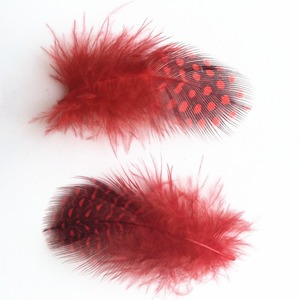Plumas de Ganso de Alta Calidad al por Mayor, de 5-10 cm, con Puntos de Perla, para Joyería, Manualidades, Ropa y Accesorios - Product Image 5