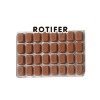 Rotifères congelés pour les jeunes poissons - Product Image 4