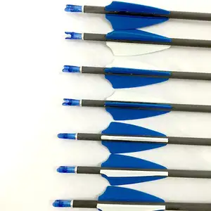 200-1000 脊柱纯碳纤维箭箭弓箭