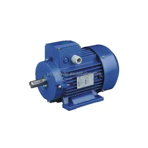 Gost standard electric motor for Russian market