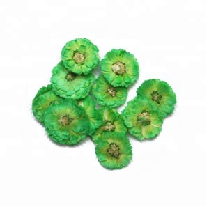 Reale Secchi Premuto Fiore, Mini Daisy - Product Image 2
