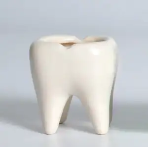 Dentadura de resina para clínica Dental, artesanía para recuerdo y decoración de regalos