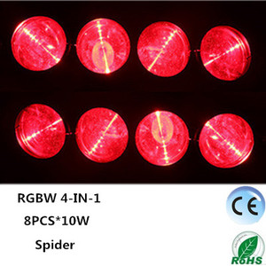 8 * 10 vatios de color 4in1 RGBW Led Araña Traslado de la luz del haz cabeza - Product Image 4