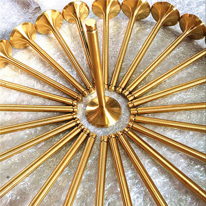 Customized High Quality <strong>Performance</strong> Racing <strong>RPM</strong> Gold Titanium Coated <strong>Intake</strong> Exhaust Engine Valve OEM - Product Image 6