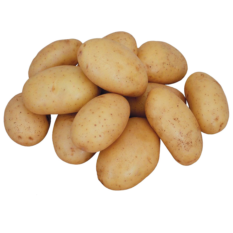 Свежий продукт оптовой продажи картофеля
