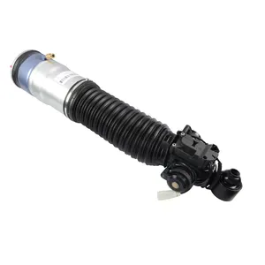 1 an De Garantie Amortisseur À Gaz pour F02 Jambe De Suspension Pneumatique Amortisseur D'air OEM 37126796929