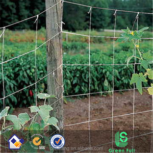 2018 100% NUOVO materiale di Nylon trellis <span class=keywords><strong>rete</strong></span>/plastica arrampicata supporto reti - Product Image 3