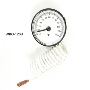 Pengukur Suhu Termometer Kapiler Dial 0 ~ 120 C dengan Probe