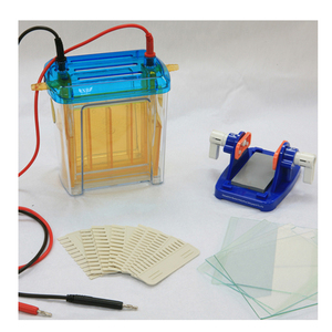 Lab Met Behulp Van Kataforese Analyzer Verticale Tank Proteïne <span class=keywords><strong>Gel</strong></span> Elektroforese Apparatuur Prijs - Product Image 2