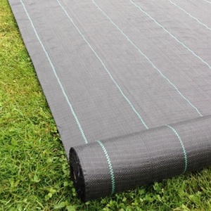 Toile <span class=keywords><strong>anti</strong></span>-mauvaises herbes en plastique pour plantes agricoles, couverture du sol, filet <span class=keywords><strong>anti</strong></span>-mauvaises herbes en pp - Product Image 5