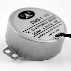 Synchrone Dc 24v Elektrische Motor