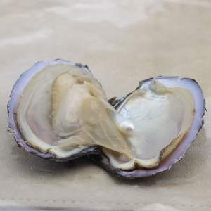 Ostriche Akoya con Perle d'Acqua Dolce Rotonde - Product Image 4