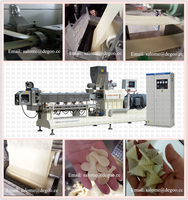 Machine d'extrudeuse de granulés 3D Jinan DG pour la fabrication de chips de tapioca et de pommes de terre en flocons
