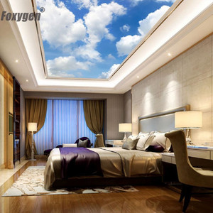 Diseños <span class=keywords><strong>de</strong></span> Techo Pop, Techo Extensible Tipo <span class=keywords><strong>Cielo</strong></span> para Vestíbulo, Decoración del Hogar, Película <span class=keywords><strong>de</strong></span> Techo Extensible <span class=keywords><strong>de</strong></span> <span class=keywords><strong>PVC</strong></span> Impresa - Product Image 4