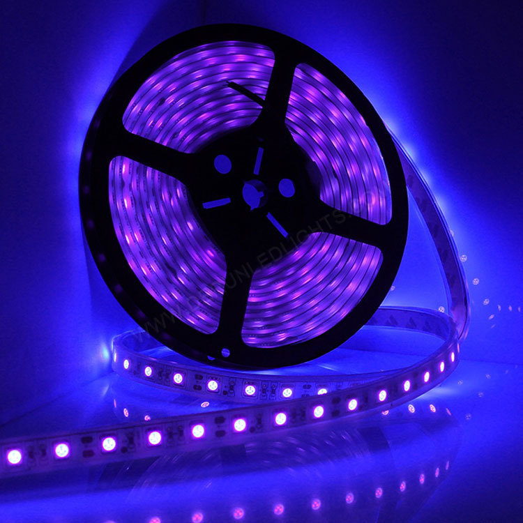 Shenzhen Factory 5050 UV Black Light Led Strip 395-400nm