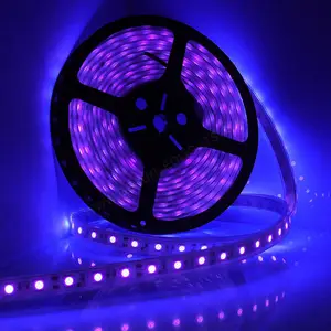 Shenzhen Fabrik 5050 UV Schwarzlicht LED-Streifen 395-400nm