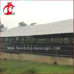 Cages For Chickens Hot Sale 5 Tier 200 Birds Laying Hens Hebei Broiler Chicken Cage Automatic For Wholesales