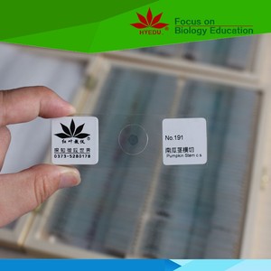 Lames de <span class=keywords><strong>microscope</strong></span> préparées à tous les niveaux, pour les étudiants, l'étude des plantes, cellules de tige préparées au <span class=keywords><strong>microscope</strong></span> - Product Image 2