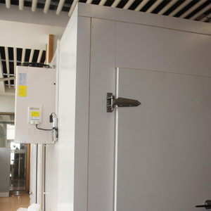 Unité de réfrigération murale monobloc haute efficacité tout-en-un pour chambre froide avec groupe de condensation intégré - Product Image 4