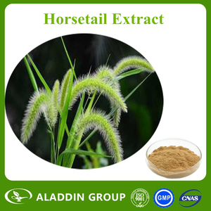 <span class=keywords><strong>100%</strong></span> Doğal bitki özü Ekstresi Atkuyruğu - Product Image 1