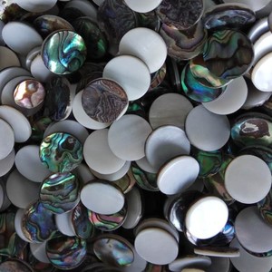 2021 Natural Craft Geschenke Paua <span class=keywords><strong>Abalone</strong></span> <span class=keywords><strong>Shell</strong></span> Inlay Flakes für Schmuck zubehör - Product Image 6