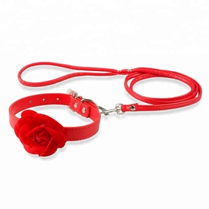 Fleur en cuir collier de <span class=keywords><strong>chien</strong></span> et laisse Set pour Ebay Amazon produits pour animaux domestiques boutique - Product Image 5