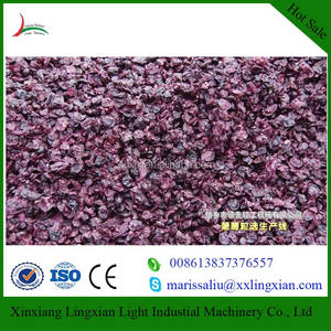 Machine de traitement pour <span class=keywords><strong>Raisins</strong></span>/Raisin Machine À Broyer pour clair Jus De Raisin - Product Image 2