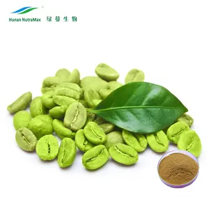 Fabricante fonte planta herbal extrato de café verde 50% ácidos cloro por hplc