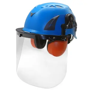 Best selling factory price personalized safety helmets with ear muff and visor