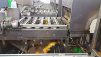 LWT Multifunctionele Fruit Schilmachine voor Oranje Verwerking voor Diepvriesproducten & Fruitplanten