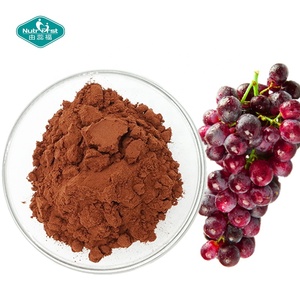 ללא GMO אורגני 95% OPC ויטיס Vinifera תמצית זרעי ענבים נוגד חמצון זרעי ענבים תוספת תמצית - Product Image 1