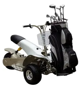Batterie leistungsstarke Beschleunigung Golfwagen 1000 W 36 V elektrischer Golf-Strand-Cruiser mit Einzelsitz