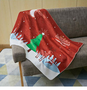 <span class=keywords><strong>2</strong></span> capas 100% poliéster tejido impreso caliente super suave franela fleece blanket productos de china - Product Image 6