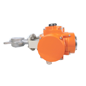 العلامة التجارية Tuoerpu DC24V جودة عالية DN32 مع مشغل كهربائي - Product Image 5