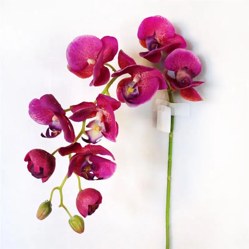 30 "реальные сенсорные орхидеи фаленопсис искусственная Орхидея фаленопсис