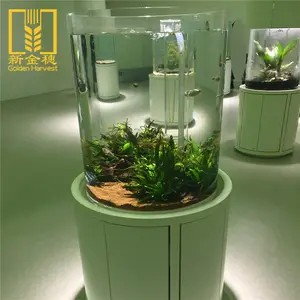 2020 Best Price Custom Oval Acrylic Cylinder Fish Aquarium