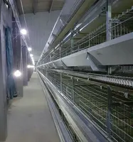 High Quality Broiler Battery Cage/Layer Chicken Battery Cage/Automatic Poultry Layer Cages System