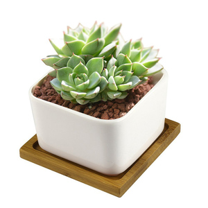 <span class=keywords><strong>Pot</strong></span> de fleur carré <span class=keywords><strong>en</strong></span> céramique blanc, de haute qualité avec plateau <span class=keywords><strong>en</strong></span> bambou, <span class=keywords><strong>mini</strong></span> <span class=keywords><strong>pot</strong></span> de jardin, conteneur succulent - Product Image 3