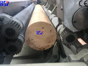 Casca de árvore BBP2600G descascamento da máquina/máquina de descasque log