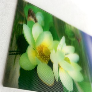 Film personnalisé héros Anime 3D impression de cartes lenticulaires 40x40cm 3d lenticulaire <span class=keywords><strong>affiche</strong></span> Flip 3D lenticulaire décoration photo avec chiens - Product Image 5
