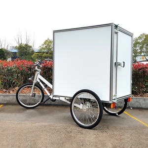 <span class=keywords><strong>Vélo</strong></span> <span class=keywords><strong>cargo</strong></span> à <span class=keywords><strong>assistance</strong></span> <span class=keywords><strong>électrique</strong></span> Ester, pneus Kenda de 24 pouces, trike <span class=keywords><strong>cargo</strong></span> - Product Image 1