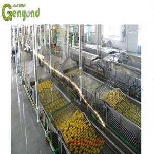 Custom made canning fruit plant with high quality