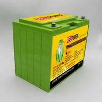Schnelle lade 12v 120ah lifepo4 lithium-ionen polymer batterie packs für camping auto