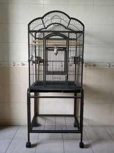 Vente en gros de <span class=keywords><strong>cage</strong></span> à oiseaux extra large 6By5 pour animaux de compagnie 1000 <span class=keywords><strong>cage</strong></span> à oiseaux pliable motif animal fer matériel plateau en plastique palette inde