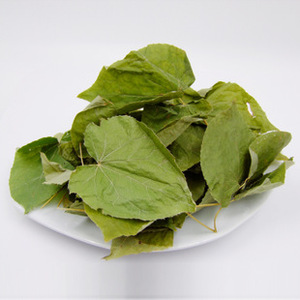 Venda quente 3 7 bis 2 hidroxietil icaritin 98% maxim brevicornum epimedium extrato - Product Image 3