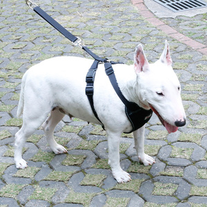 Voiture de luxe Gilet De Sécurité Chien Harnais Gilet De Dressage Pour Chien De Voyage Véhicule Harnais Pour Animaux De Compagnie Avec Ceinture de sécurité - Product Image 6