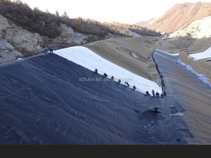 高密度ポリエチレン (HDPE) ジオメンブレンライナー工場供給 - Product Image 6